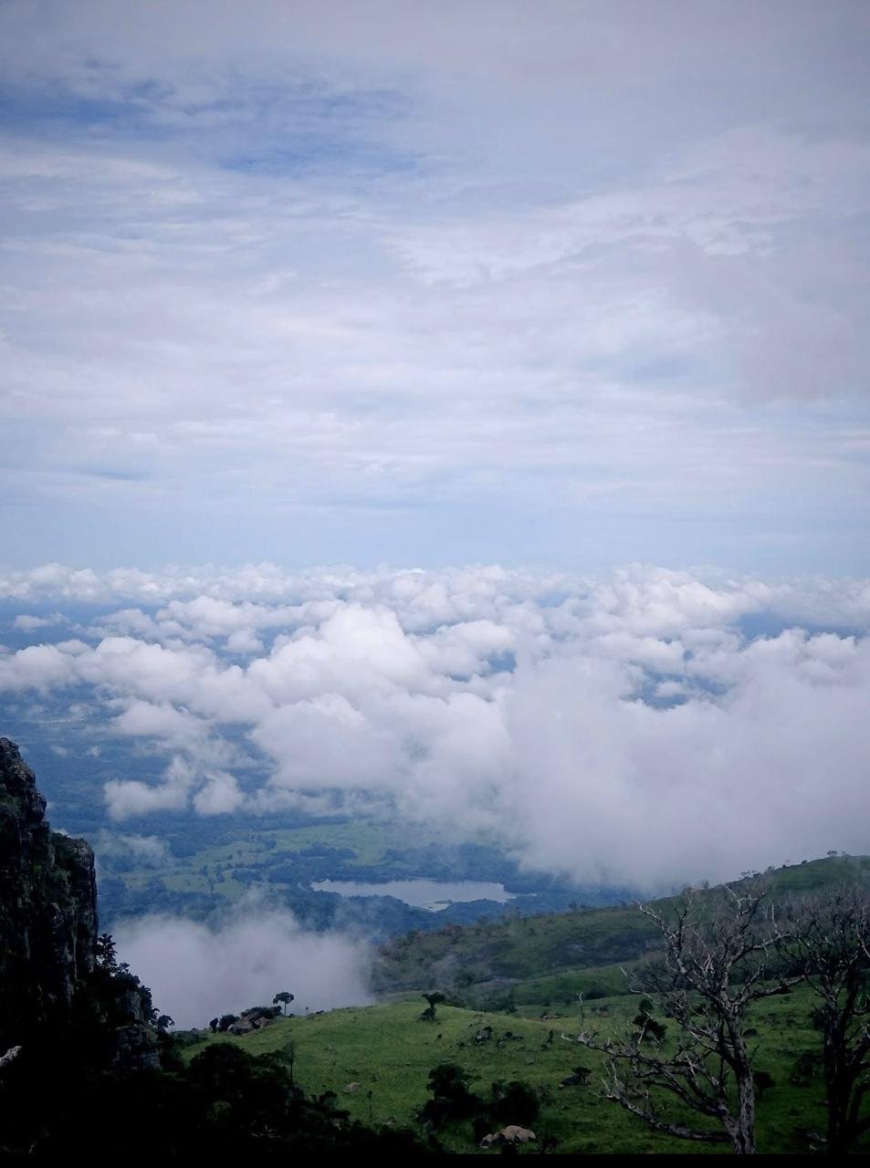 Shenaya Plantation - WhatsApp Image 2025 09 21 at 17.55.00 a82cdff6